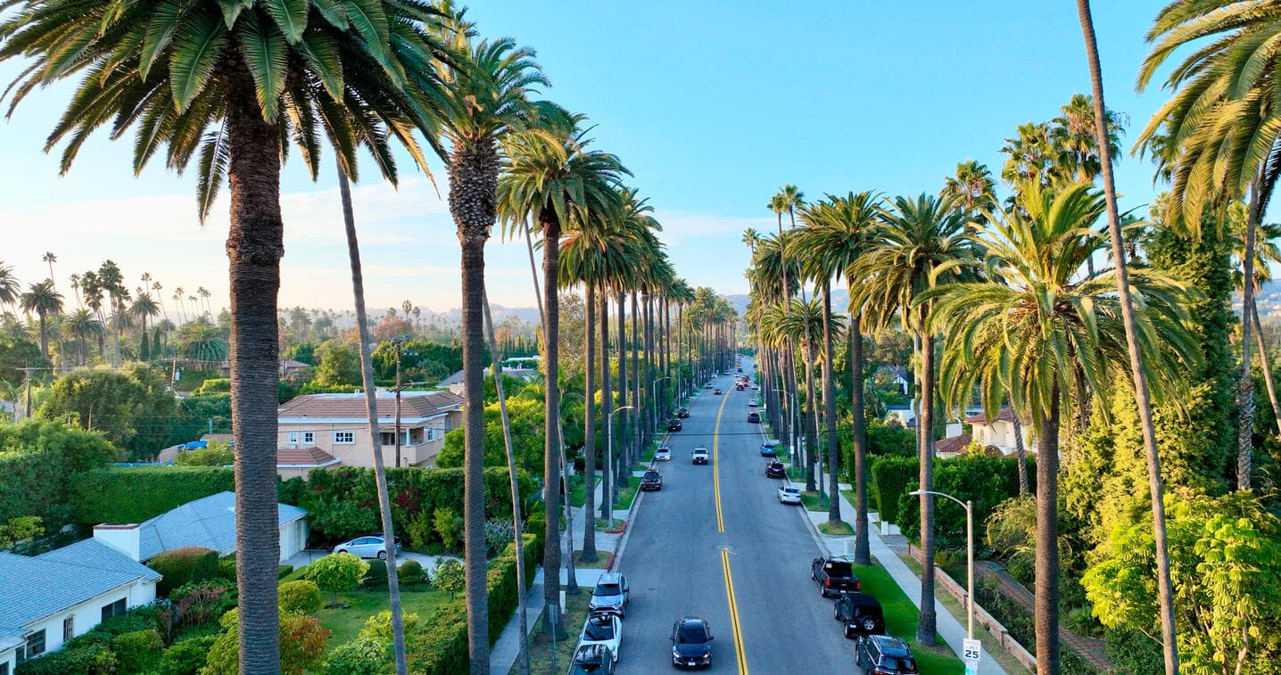 Drone photograph by Derek Yu